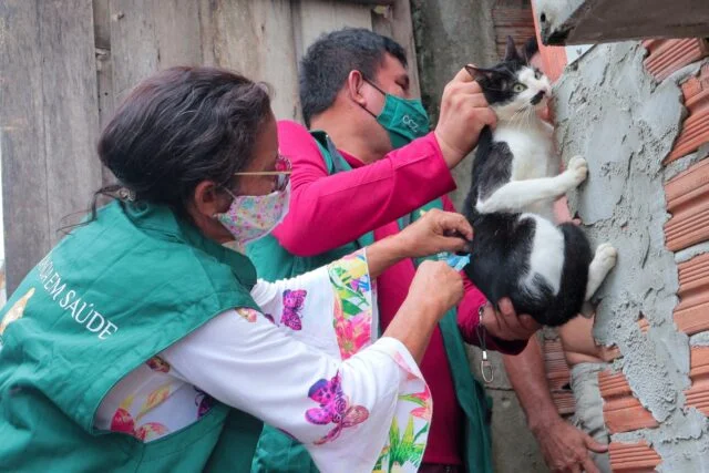 Campanha de vacinação antirrábica 2026 da prefeitura já atendeu 140 mil animais em Manaus e segue até 30 de novembro