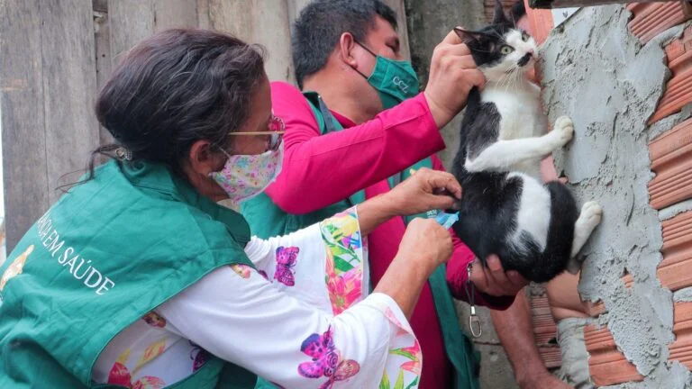 Campanha de vacinação antirrábica 2026 da prefeitura já atendeu 140 mil animais em Manaus e segue até 30 de novembro